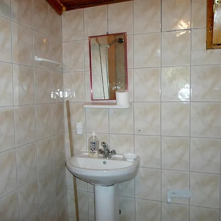 Pensjonat Oran Pansiyon Agac Evler *