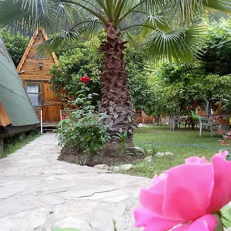 Pensjonat Oran Pansiyon Agac Evler