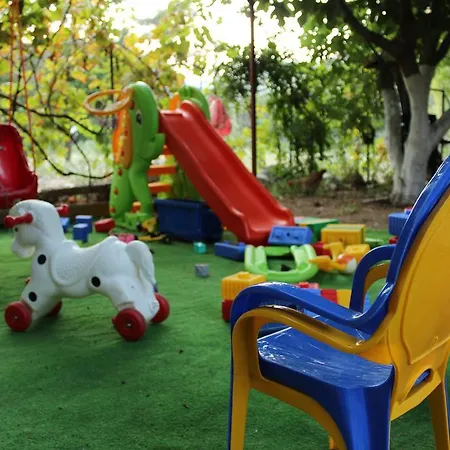 Pensjonat Oran Pansiyon Agac Evler *