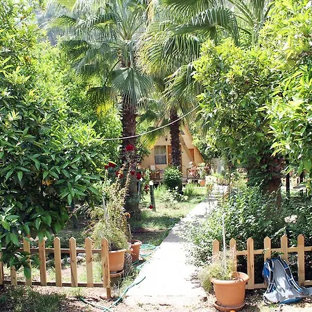 Pensjonat Oran Pansiyon Agac Evler Çıralı